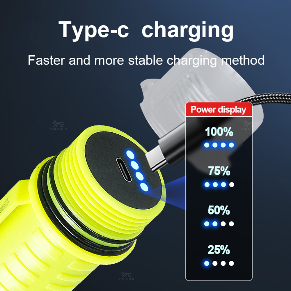New Portable Professional LED  - Fishing Light avis et prix